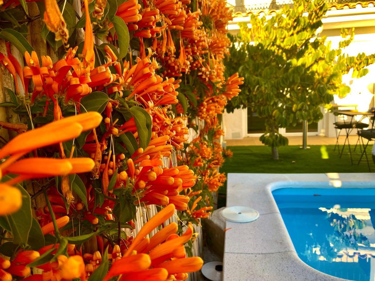 Suite Breeze - Private Heated Pool Málaga Eksteriør bilde